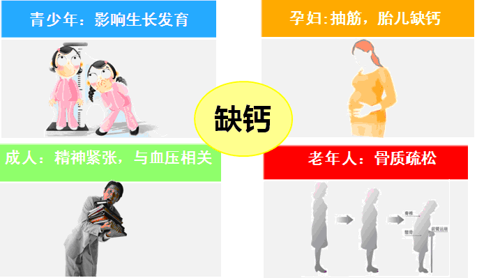 不同人群缺钙