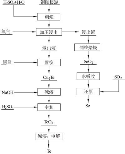 加压浸出提取硒的工艺流程